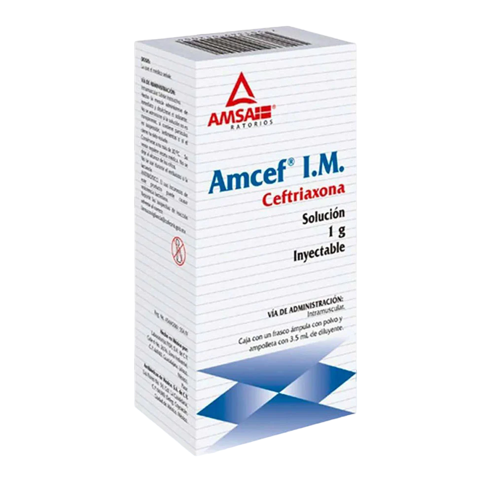 Amcef I.M. 1g